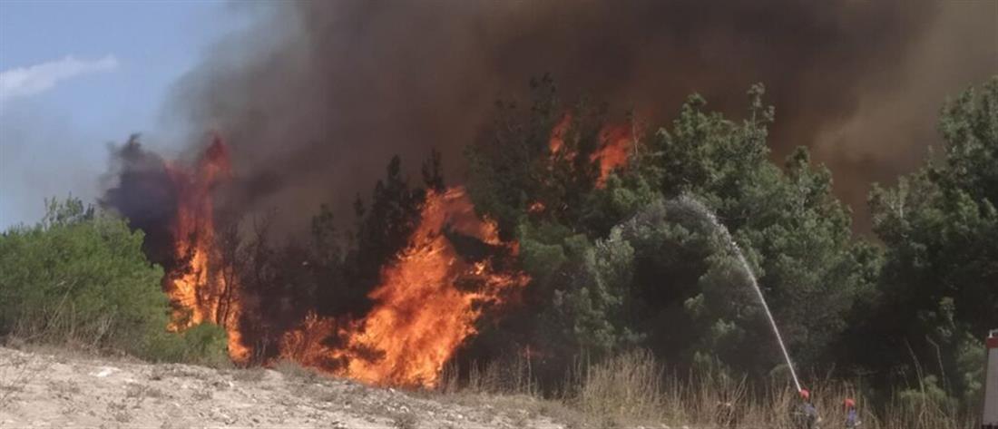 Σουφλί - Φωτιά στην Δαδιά: στον “πυρήνα” του δάσους μαίνεται η πυρκαγιά