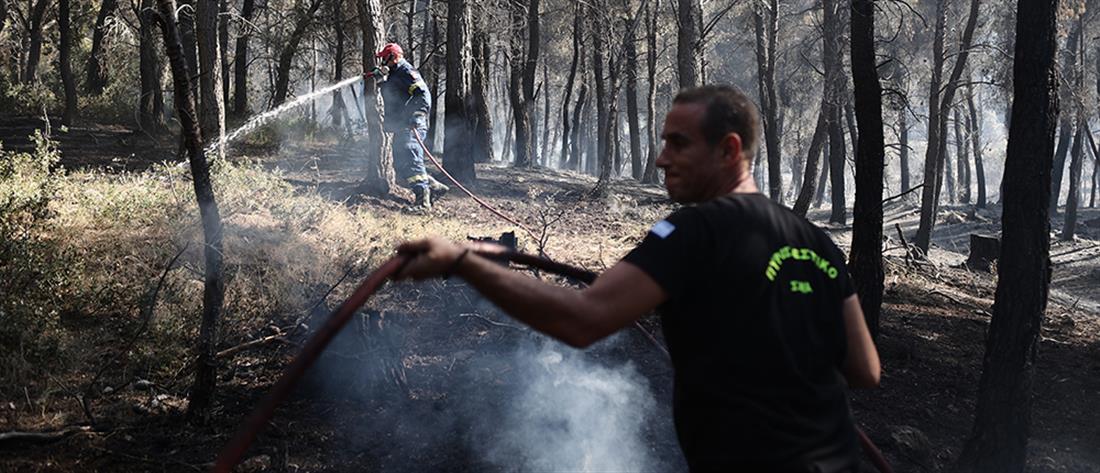 Πόρτο Γερμενό: μαίνεται η πυρκαγιά - "μάχη" για να μην περάσουν οι φλόγες στο Αλεποχώρι (εικόνες)