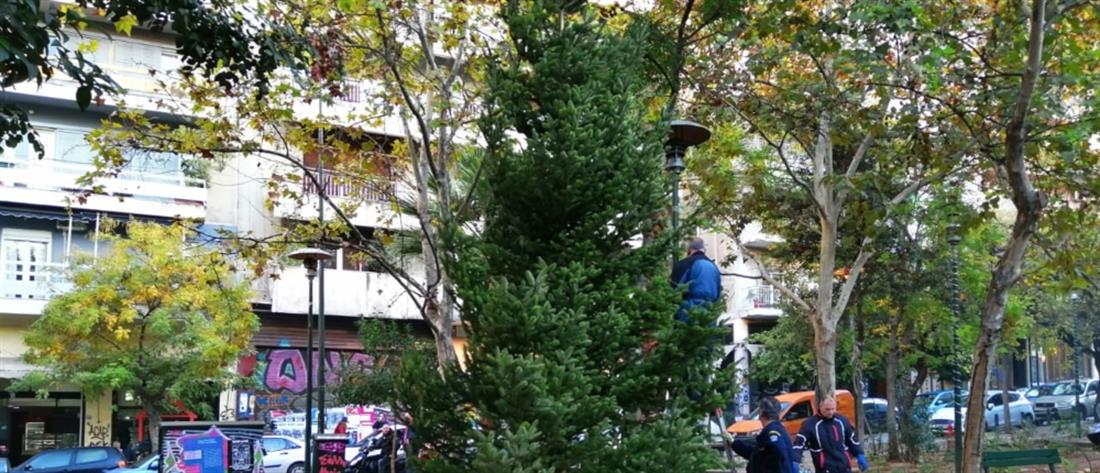 Χριστουγεννιάτικο δέντρο στα Εξάρχεια έστησε ο Δήμος Αθηναίων (εικόνες)