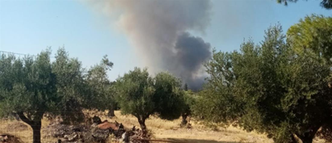 Πυρκαγιά στην Μάνδρα: "μάχη" με τις αναζωπυρώσεις