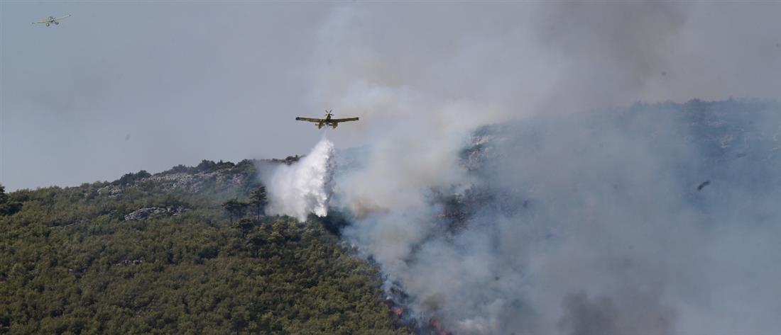 Φωτιά στην Αττική: Ενεργοποίηση του Ευρωπαϊκού Μηχανισμού Πολιτικής Προστασίας