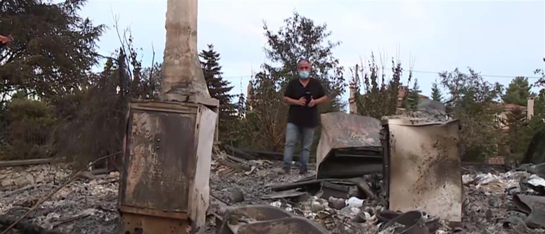 Φωτιά στον Άγιο Στέφανο: Εικόνες καταστροφής (βίντεο)