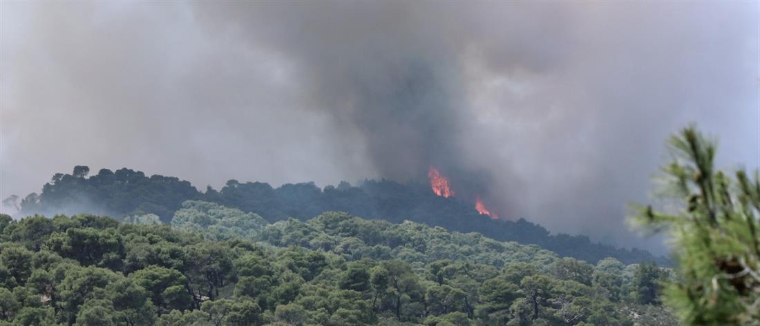 Φωτιά στα Γεράνεια Όρη: Αναζωπύρωση στα Μέγαρα, εκκένωση οικισμού