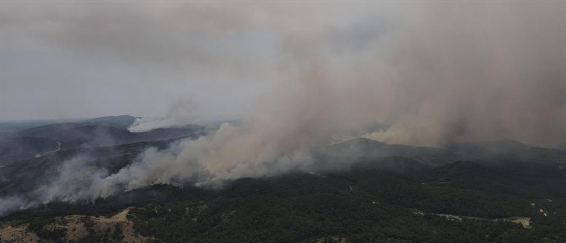 Έβρος - Φωτιά στην Δαδιά: Απειλούνται οικισμοί, ενισχύονται οι άνεμοι (εικόνες)