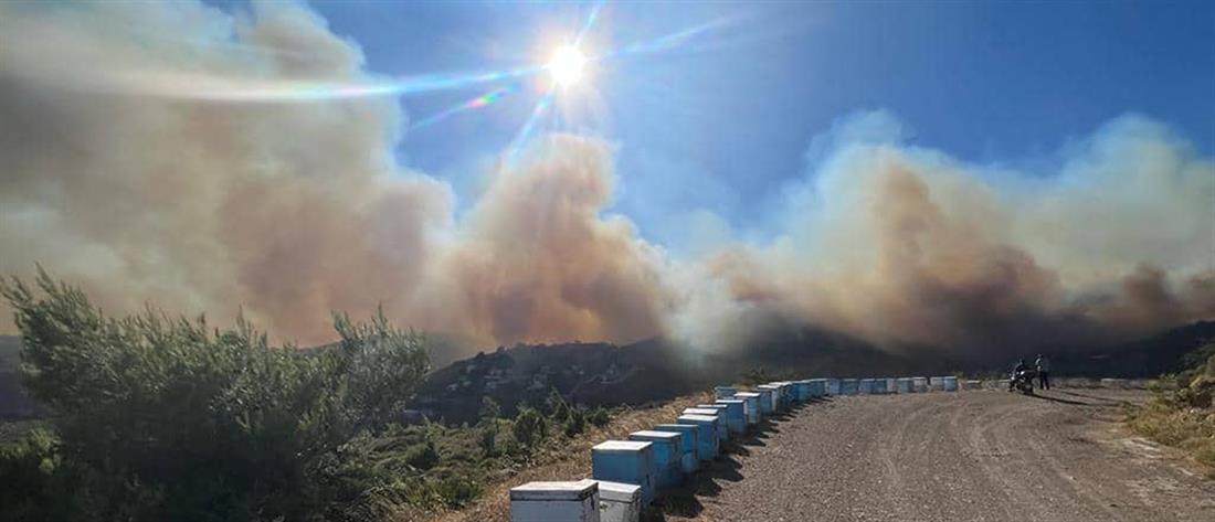 Φωτιά στην Πεντέλη - Πατούλης: η “μάχη” πρέπει να δοθεί όσο είναι μέρα