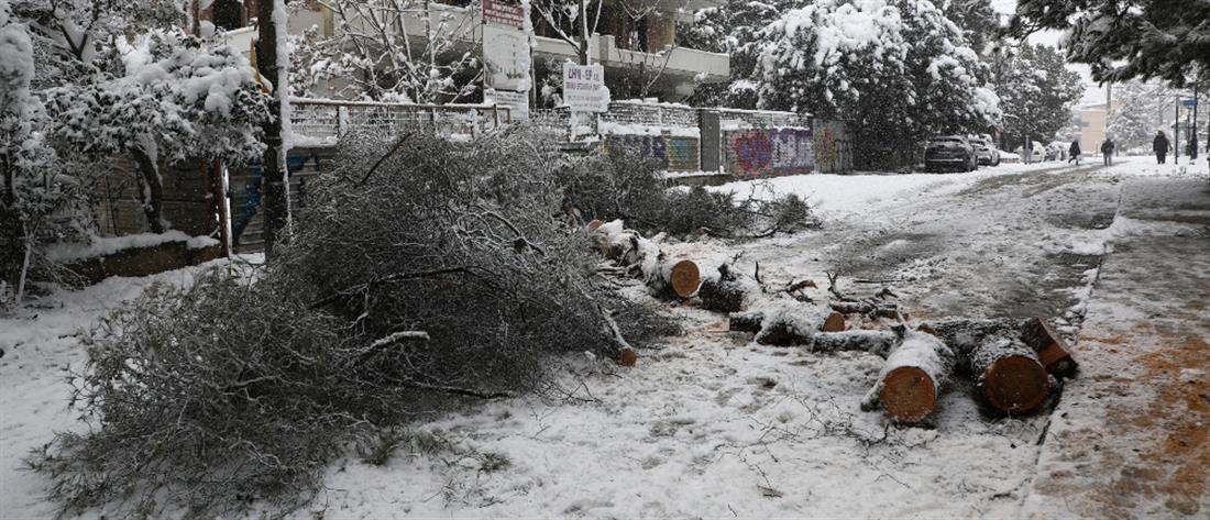 “Μήδεια”: Και ο στρατός στη “μάχη” για την αντιμετώπιση προβλημάτων