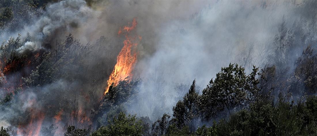 Φωτιά στον Βαρνάβα: Drone της Πυροσβεστικής κατέγραψε την καταστροφή (βίντεο)