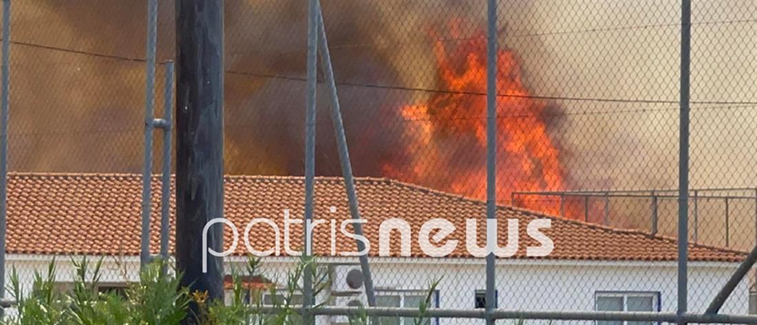 Ηλεία: Φωτιά στην Σπιάτζα απειλεί σπίτια (εικόνες)
