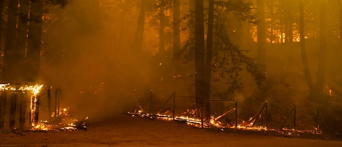 Καλιφόρνια: στον κλοιό πυρκαγιών, καύσωνα και κορονοϊού