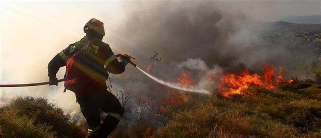 Φωτιές σε Όλυμπο, Ροδόπη και Μάνη: η εικόνα από τα πύρινα μέτωπα (εικόνες)