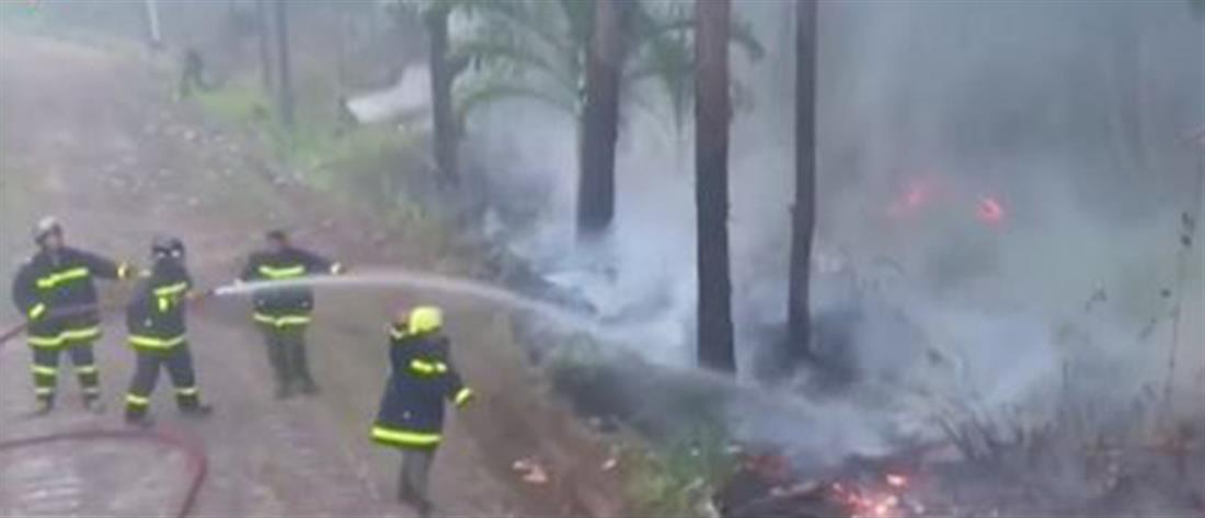 Κούβα: Μεγάλες δασικές φωτιές μαίνονται στη χώρα