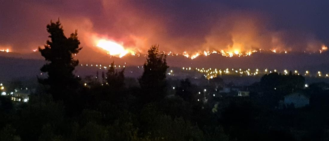 Φωτιά στην Αττική: εντολή εκκένωσης σε Καπανδρίτι, Πολυδένδρι και Άγιο Στέφανο