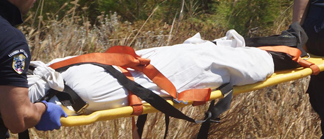 Θρίλερ με τους δύο νεκρούς στην Ευκαρπία: τι έδειξε η νεκροψία