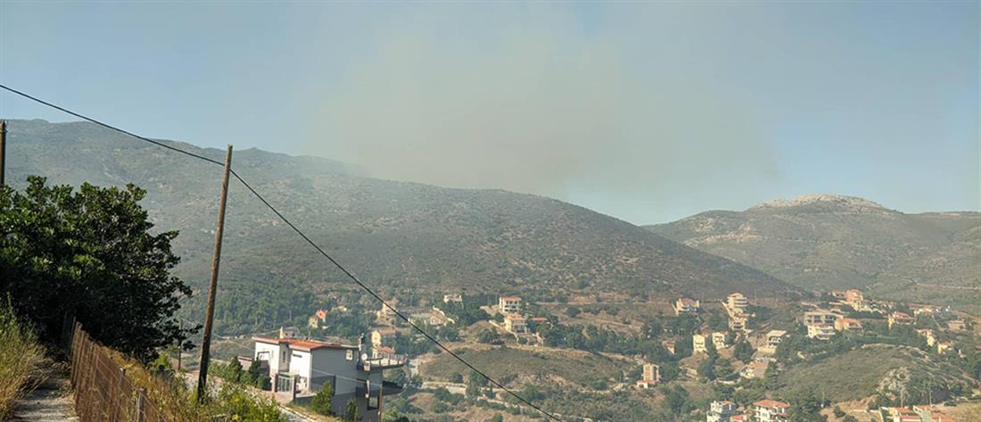 Νταού Πεντέλης: Φωτιά με δύο εστίες (εικόνες)