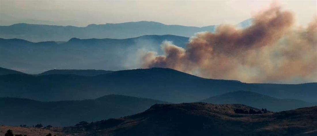 Φωτιά στον Ασπρόπυργο: Μάχη με πολλές εστίες στο Σοφό (εικόνες)