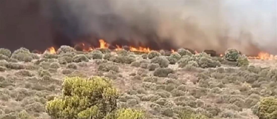 Πατούλης για φωτιά στην Κερατέα: αν δεν ελεγχθεί έως το απόγευμα...