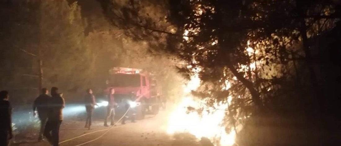 Λέσβος: Φωτιά στον Καρυώνα (εικόνες)