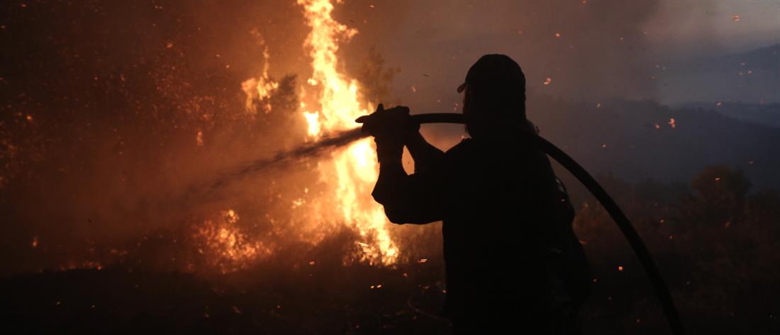 Εύβοια: Φωτιά σε ορεινή περιοχή υπό ισχυρούς ανέμους (βίντεο)
