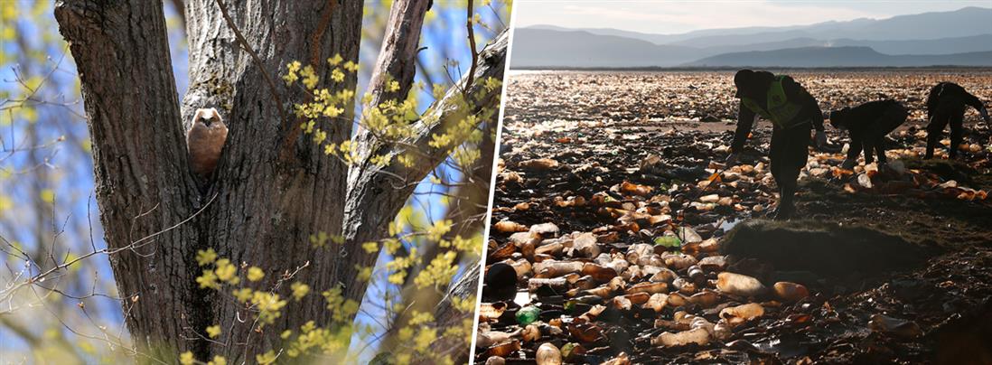 22 Απριλίου: Παγκόσμια Ημέρα της Γης