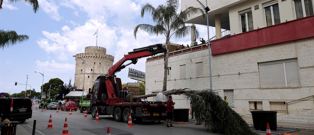 Θεσσαλονίκη: Νέα γυρίσματα ταινίας του Χόλυγουντ