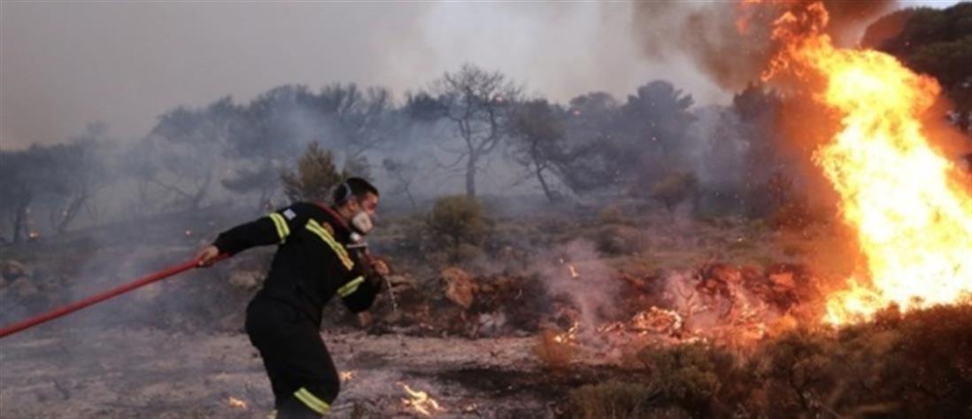 Φωτιές: Τραυματίστηκε πυροσβέστης από το Ισραήλ