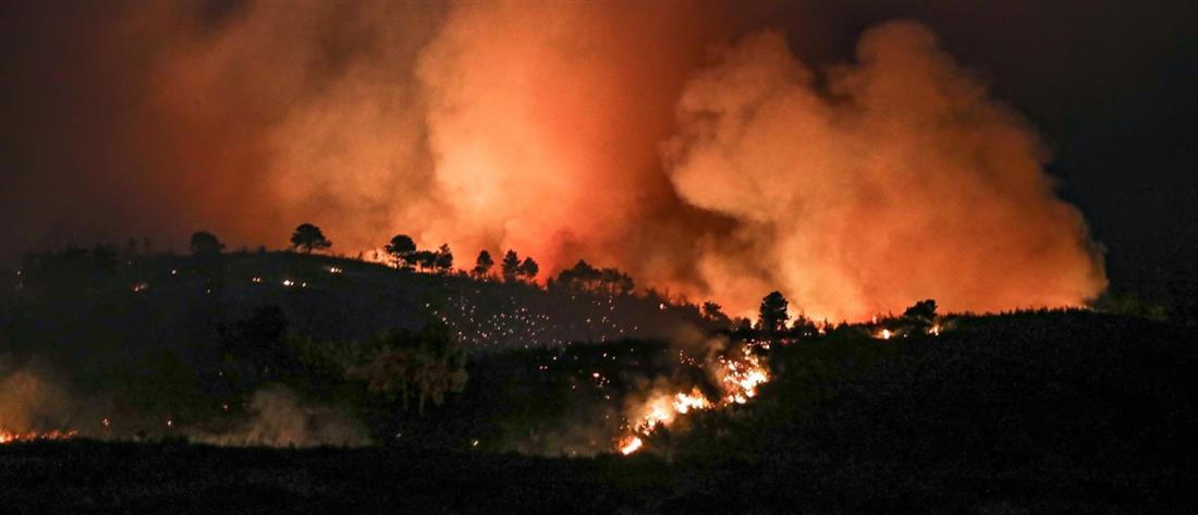 Φωτιές: νύχτα αγωνίας στα μεγάλα πύρινα μέτωπα στην Ελλάδα (εικόνες)