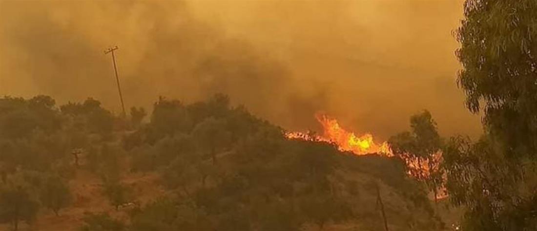 Φωτιά στη Γορτυνία: δύσκολη νύχτα με αναζωπυρώσεις