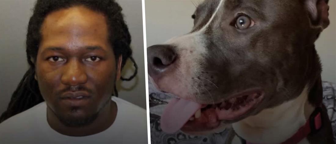 Άνδρας καταδικάστηκε γιατί επιχείρησε να πνίξει τον σκύλο της πρώην του (εικόνες)