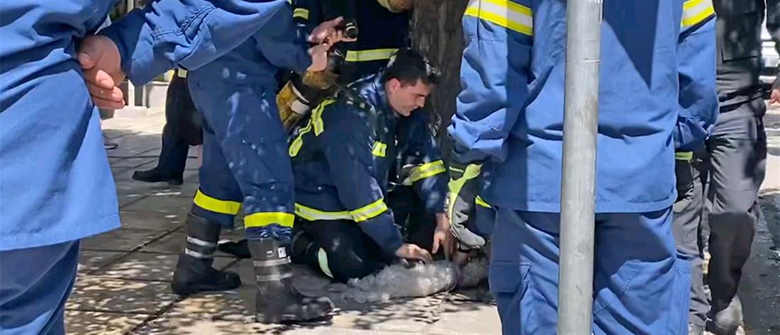 Θεσσαλονίκη: Πυροσβέστης κάνει ΚΑΡΠΑ σε σκύλο (βίντεο)