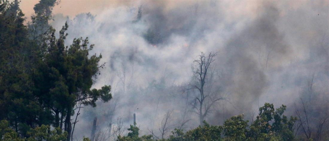 Φωτιά στον Έβρο: Μήνυμα 112 σε Δαδιά και Σουφλί, οι άνεμοι συντηρούν τον εφιάλτη