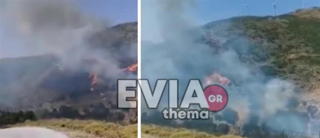 Φωτιά στην Κάρυστο: Μήνυμα του 112 για εκκένωση τεσσάρων οικισμών 