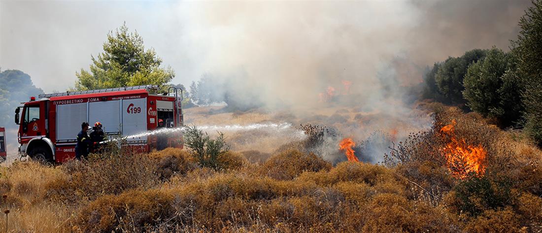 Φωτιά στα Βίλια: εκκενώσεις οικισμών