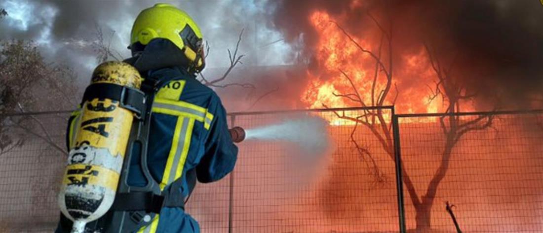 Μεσσηνία: Εμπρηστής ομολόγησε φωτιές που έβαλε φέτος και... πέρσι