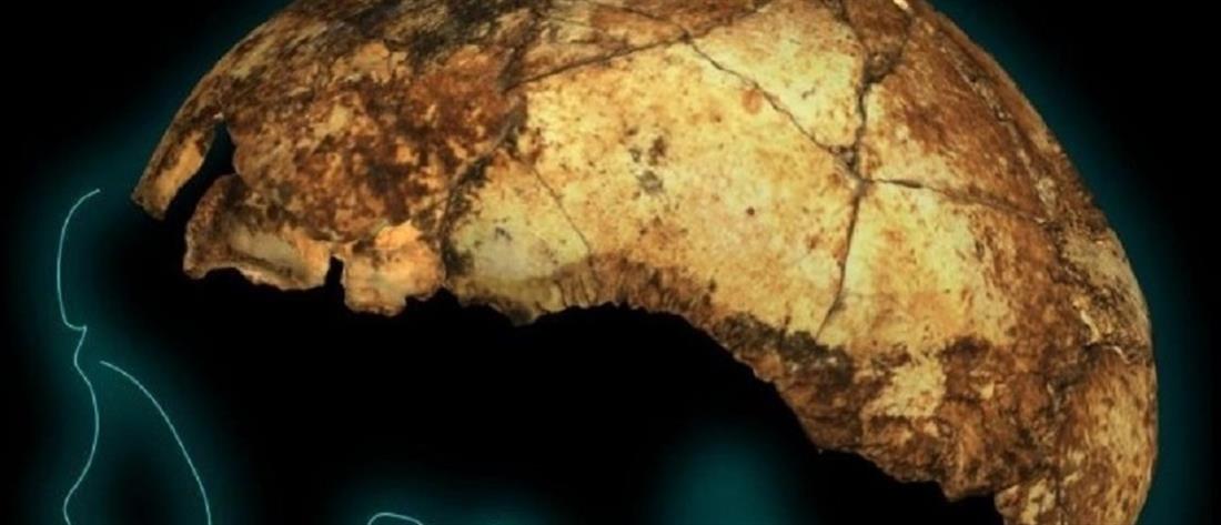Βρέθηκε το αρχαιότερο στον κόσμο κρανίο Homo erectus