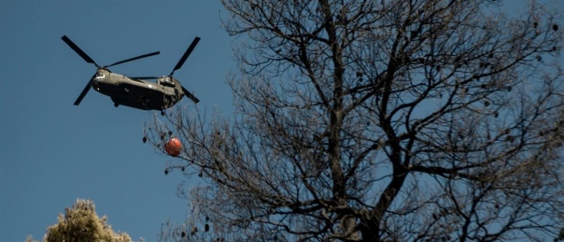 Φωτιά στη Γορτυνία: Νέα αναζοπύρωση και εντολή εκκένωσης 