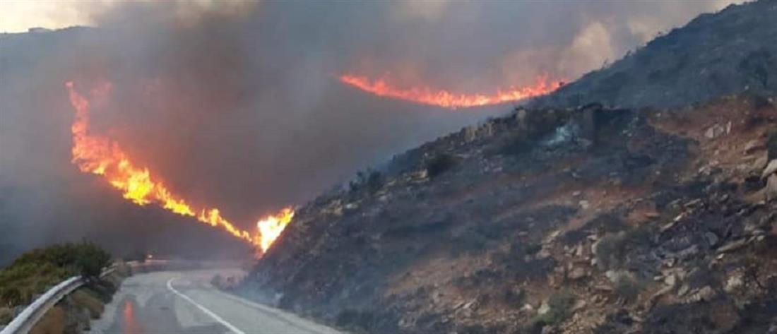 Φωτιά στην Άνδρο: εκκενώθηκαν οικισμοί