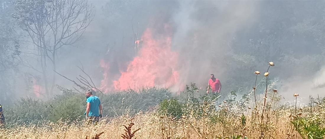 Θεσσαλονίκη: Φωτιά στην περιοχή Μελισσουργός