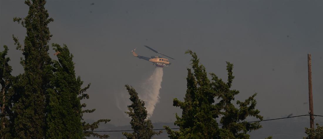 Φωτιά στη Σαλαμίνα - Επιχειρούν εναέρια μέσα