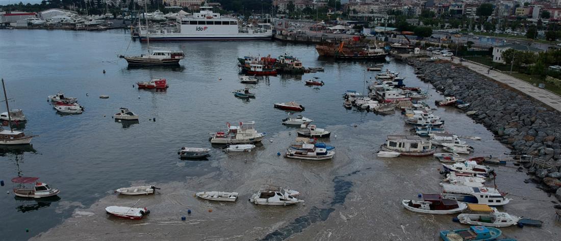 Πάπας Φραγκίσκος – κλιματική αλλαγή: ακούστε την κραυγή της γης και των φτωχών