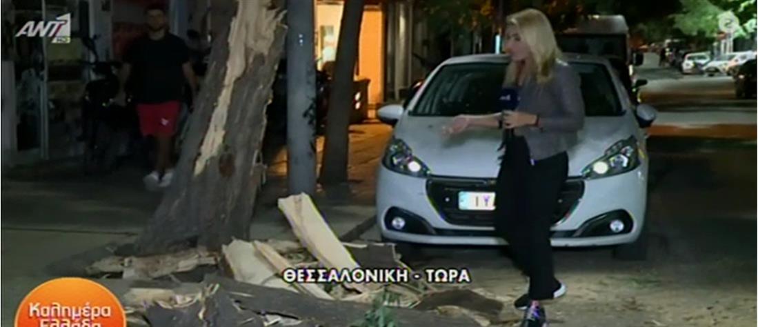Θεσσαλονίκη: Δέντρο καταπλάκωσε αυτοκίνητο (βίντεο)