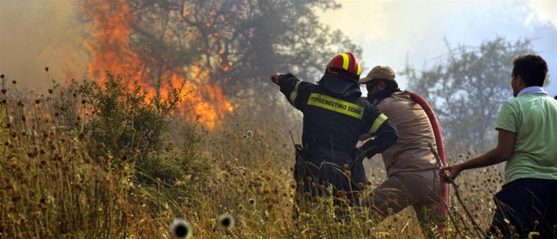 Βοιωτία: Φωτιά στην Τανάγρα