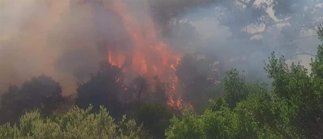 Έβρος: Ολονύκτια μάχη με τις φλόγες