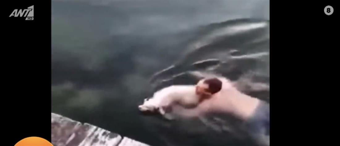 Βούτηξε στη θάλασσα για να σώσει τυφλό σκύλο (βίντεο)