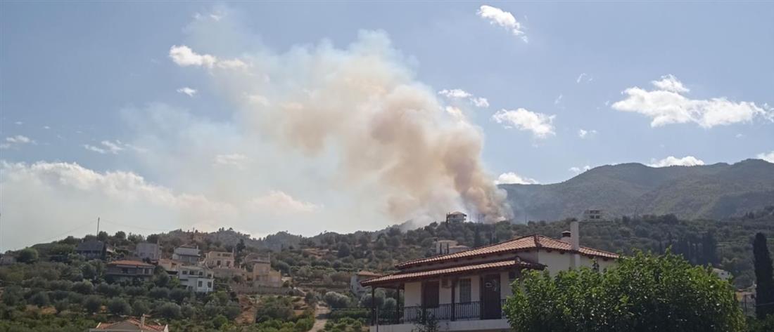 Κόρινθος: Φωτιά σε δασική έκταση - Επιχειρούν εναέρια μέσα (εικόνες)