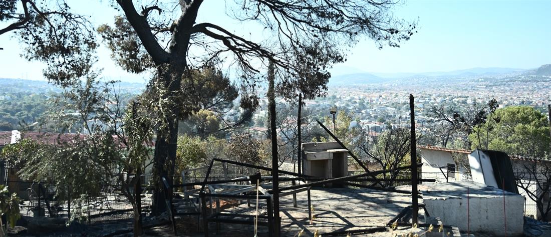 Φωτιά στον Βαρνάβα: Κάηκαν το σπίτι και έργα του Γιάννη Ζουγανέλη (βίντεο)