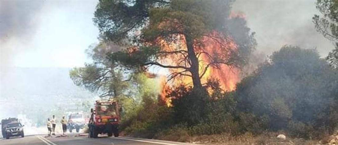 Κόρινθος: Φωτιά στο Σοφικό - Ήχησε το 112 (εικόνες)