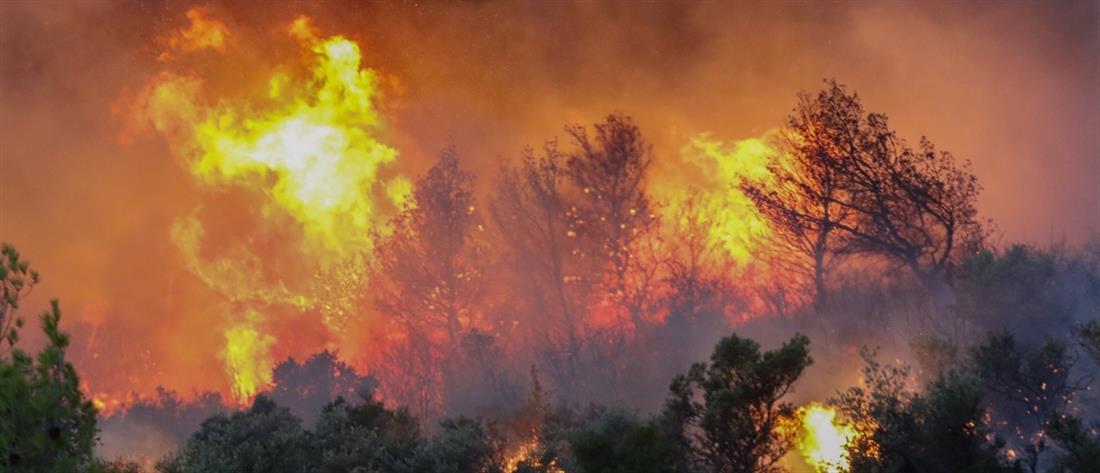 Σέρρες: Φωτιά στην Τριανταφυλλιά - Εστάλη μήνυμα του 112