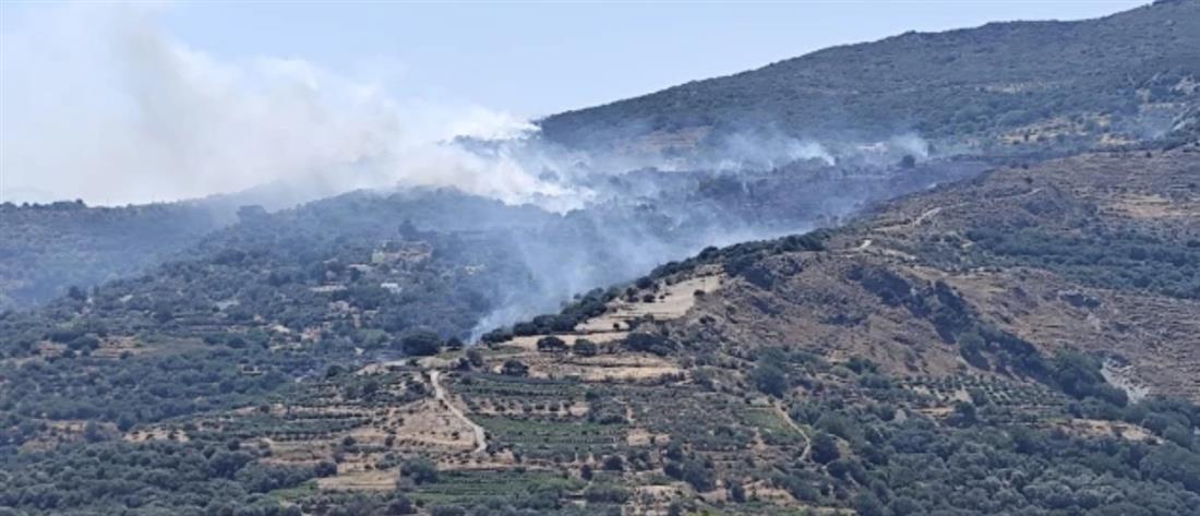 Φωτιά στα Χανιά: Μπαράζ 112 - Η πυρκαγιά πλησίασε κατοικημένες περιοχές