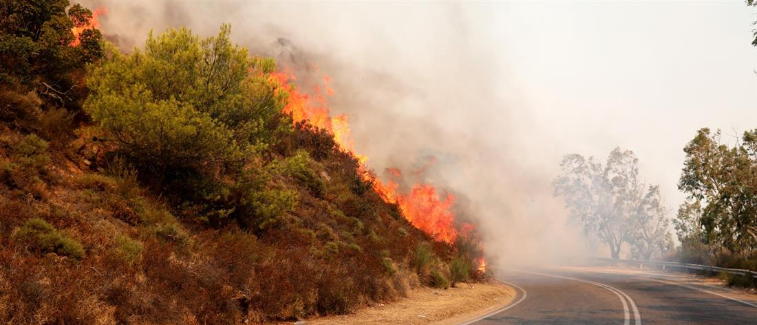 Φωτιές: 34 αγροτοδασικές πυρκαγιές το τελευταίο 24ώρο 