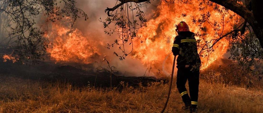 Φωτιές - Δευτέρα: Πολύ υψηλός κίνδυνος σε 1 Περιφέρεια (χάρτης)